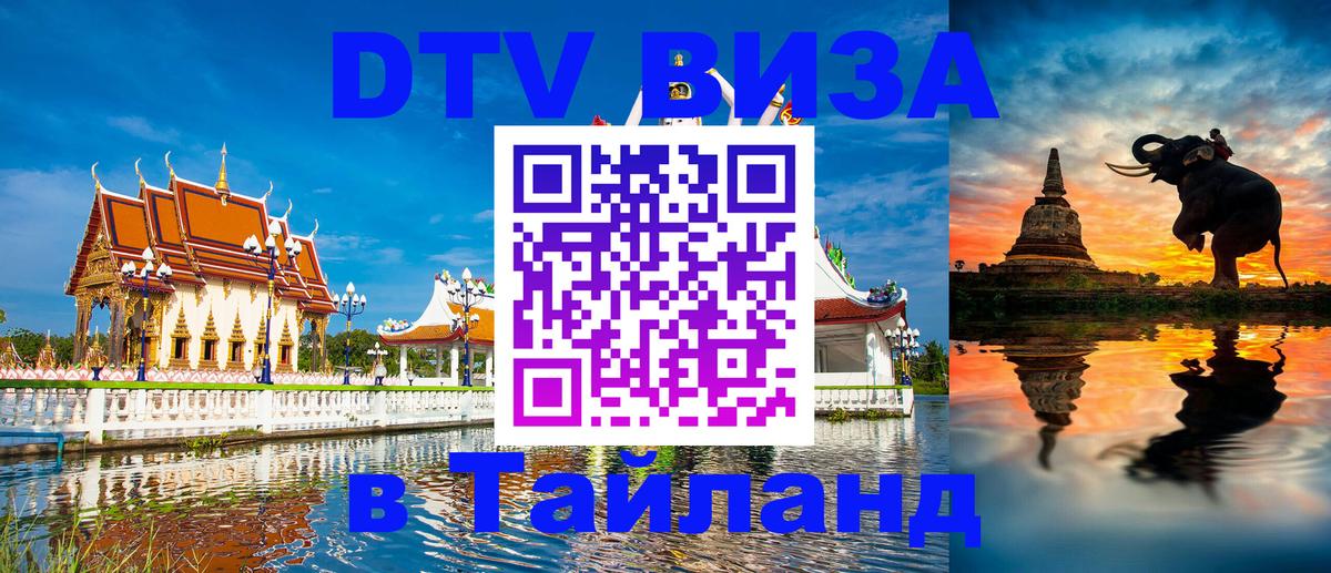 DTV Visa Тайланд купить Рубцовск 